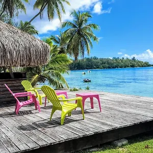Moorea - Tereva Nui Haapiti