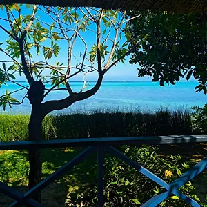 Moorea - Fare Taina Iti Haapiti